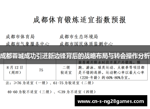 成都蓉城成功引进新边锋背后的战略布局与转会操作分析