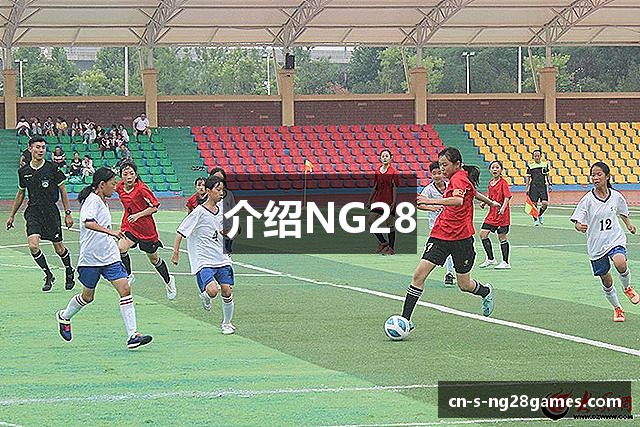 介绍NG28